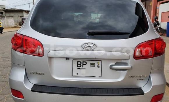 Buy Used Hyundai Santa Fe Silver Car in Cotonou in Benign