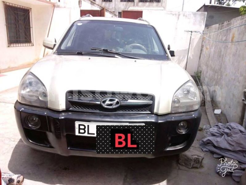 Big with watermark 30623955 578122035882356 6857030771144654848 n