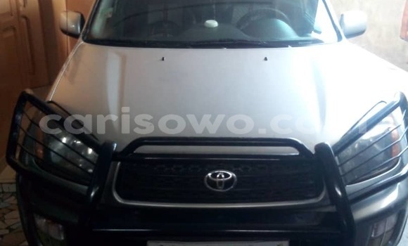 Acheter Occasion Voiture Toyota RAV4 Gris à Cotonou, Benin