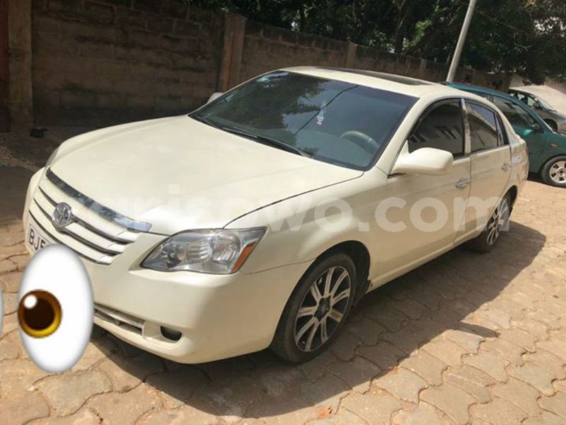 Big with watermark 30623955 578122035882356 6857030771144654848 n