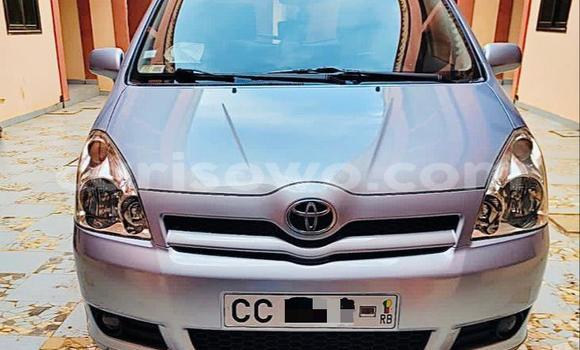 Buy Used Toyota Corolla Verso Silver Car in Cotonou in Benign