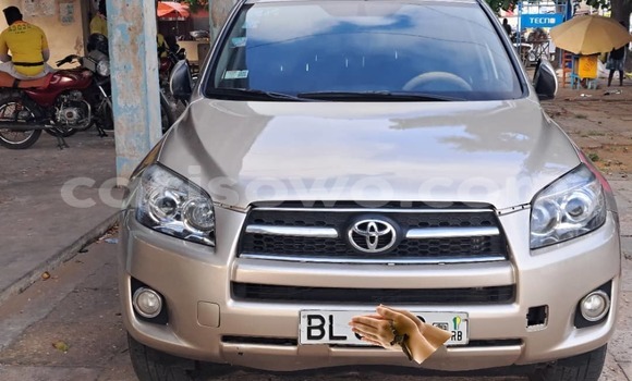 Buy Used Toyota RAV4 Silver Car in Cotonou in Benign