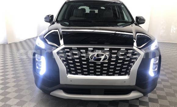 Acheter Occasion Voiture Hyundai Pony Noir à Dassa–Zoumé, Benin