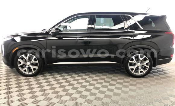 Acheter Occasion Voiture Hyundai Pony Noir à Dassa–Zoumé, Benin Acheter Occasion Voiture Hyundai Pony Noir à Dassa–Zoumé, Benin