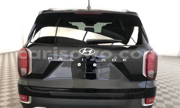 Acheter Occasion Voiture Hyundai Pony Noir à Dassa–Zoumé, Benin Acheter Occasion Voiture Hyundai Pony Noir à Dassa–Zoumé, Benin