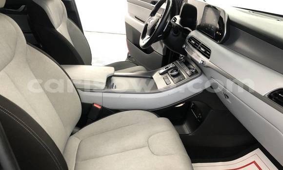 Acheter Occasion Voiture Hyundai Pony Noir à Dassa–Zoumé, Benin Acheter Occasion Voiture Hyundai Pony Noir à Dassa–Zoumé, Benin