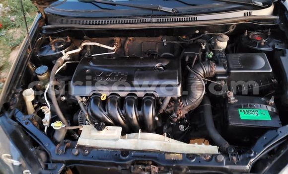 Ra Àlòkù Toyota Corolla Black Ọkọ̀ in Cotonou ni Benin Ra Àlòkù Toyota Corolla Black Ọkọ̀ in Cotonou ni Benin