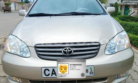 Acheter Occasion Voiture Toyota Corolla Gris à Cotonou, Benin Acheter Occasion Voiture Toyota Corolla Gris à Cotonou, Benin