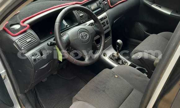 Ra Àlòkù Toyota Corolla Silver Ọkọ̀ in Cotonou ni Benin Ra Àlòkù Toyota Corolla Silver Ọkọ̀ in Cotonou ni Benin