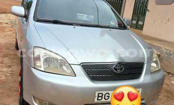 Ra Àlòkù Toyota Corolla Silver Ọkọ̀ in Cotonou ni Benin Ra Àlòkù Toyota Corolla Silver Ọkọ̀ in Cotonou ni Benin