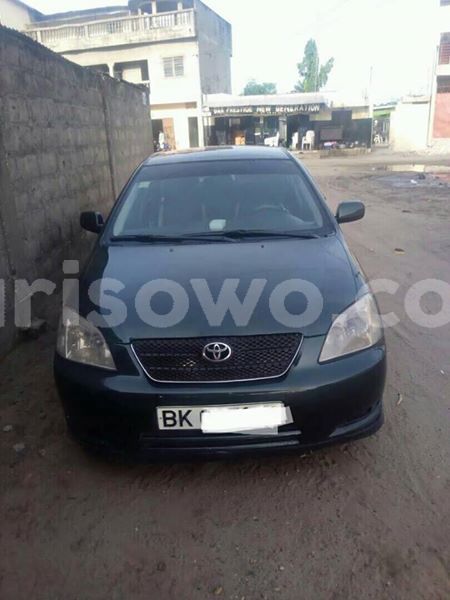 Big with watermark 30623955 578122035882356 6857030771144654848 n