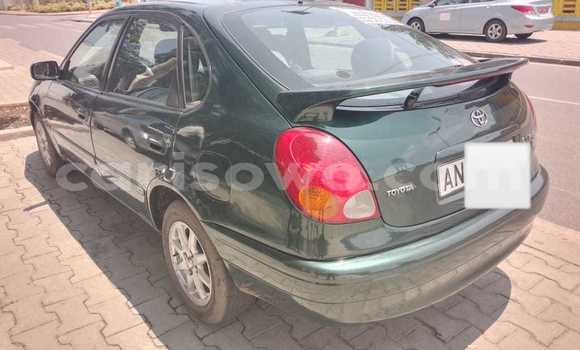 Buy Used Toyota Corolla Green Car in Cotonou in Benign