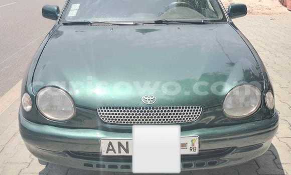 Ra Àlòkù Toyota Corolla Alawọ ewe Ọkọ̀ in Cotonou ni Benin Ra Àlòkù Toyota Corolla Alawọ ewe Ọkọ̀ in Cotonou ni Benin