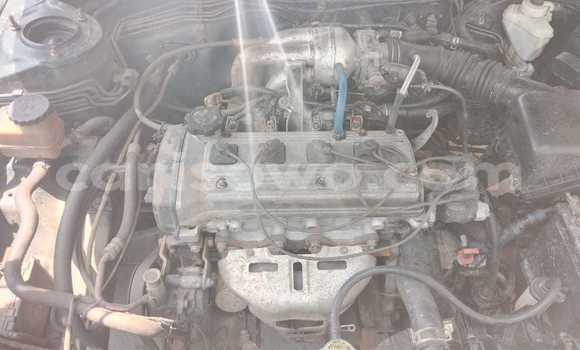 Ra Àlòkù Toyota Corolla Alawọ ewe Ọkọ̀ in Cotonou ni Benin Ra Àlòkù Toyota Corolla Alawọ ewe Ọkọ̀ in Cotonou ni Benin