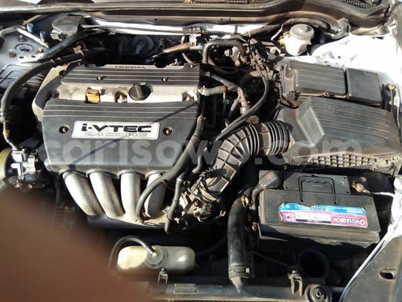 Big with watermark 30629329 194112211393369 244064733525704704 n