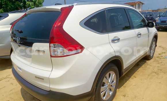 Acheter Occasion Voiture Honda CR–V Blanc à Cotonou, Benin