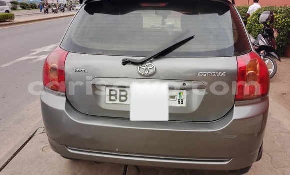 Buy Used Toyota Corolla Silver Car in Cotonou in Benign