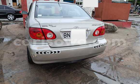 Acheter Occasion Voiture Toyota Corolla Gris à Cotonou, Benin Acheter Occasion Voiture Toyota Corolla Gris à Cotonou, Benin