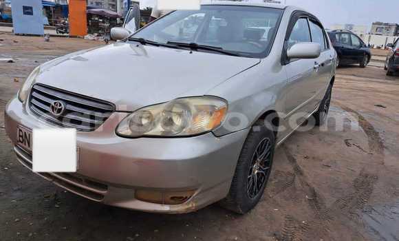 Acheter Occasion Voiture Toyota Corolla Gris à Cotonou, Benin Acheter Occasion Voiture Toyota Corolla Gris à Cotonou, Benin