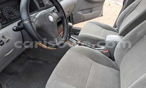 Acheter Occasion Voiture Toyota Corolla Gris à Cotonou, Benin Acheter Occasion Voiture Toyota Corolla Gris à Cotonou, Benin