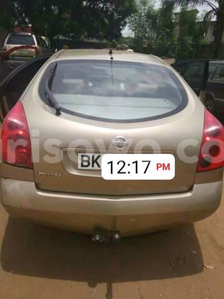 Big with watermark 30629329 194112211393369 244064733525704704 n