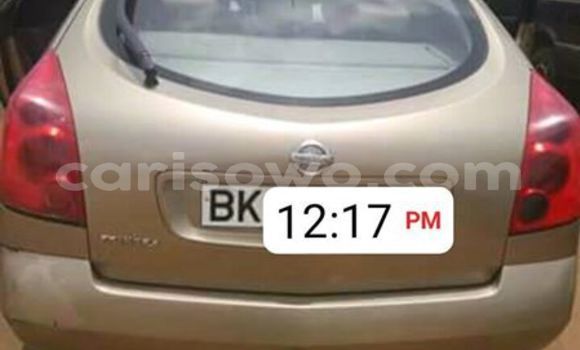 Acheter Occasion Voiture Nissan Primera Autre à Cotonou, Benin Acheter Occasion Voiture Nissan Primera Autre à Cotonou, Benin