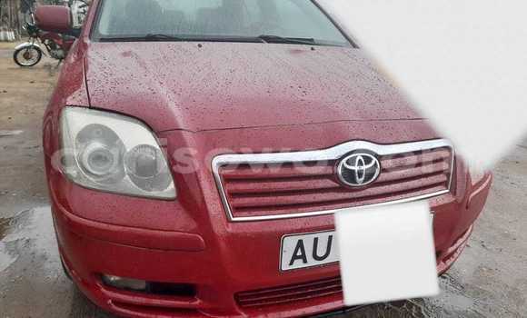 Ra Àlòkù Toyota Avensis Red Ọkọ̀ in Cotonou ni Benin Ra Àlòkù Toyota Avensis Red Ọkọ̀ in Cotonou ni Benin