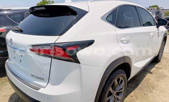 Acheter Occasion Voiture Lexus NX Blanc à Cotonou, Benin
