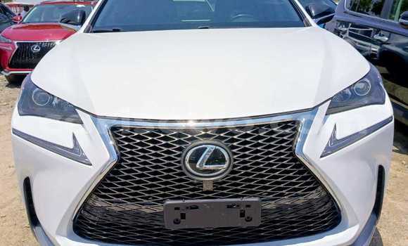 Sayi Na hannu Lexus NX White Mota in Cotonou a Benin Sayi Na hannu Lexus NX White Mota in Cotonou a Benin