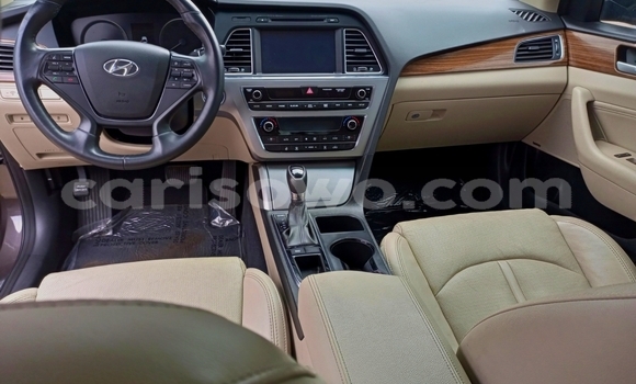 Sayi Na hannu Hyundai Sonata Brown Mota in Cotonou a Benin Sayi Na hannu Hyundai Sonata Brown Mota in Cotonou a Benin