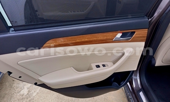 Sayi Na hannu Hyundai Sonata Brown Mota in Cotonou a Benin Sayi Na hannu Hyundai Sonata Brown Mota in Cotonou a Benin