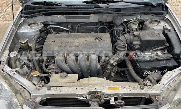 Ra Àlòkù Toyota Corolla Silver Ọkọ̀ in Cotonou ni Benin Ra Àlòkù Toyota Corolla Silver Ọkọ̀ in Cotonou ni Benin