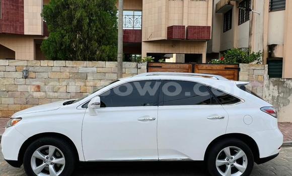 Sayi Na hannu Lexus RX 350 White Mota in Cotonou a Benin Sayi Na hannu Lexus RX 350 White Mota in Cotonou a Benin
