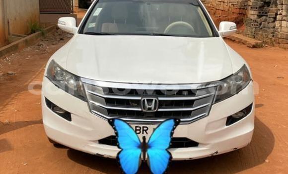 Acheter Occasion Voiture Honda Crosstour Blanc à Cotonou, Benin Acheter Occasion Voiture Honda Crosstour Blanc à Cotonou, Benin