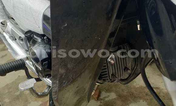 Sayi Sabo Dayang DY50QT–A Black Motsi in Cotonou a Benin Sayi Sabo Dayang DY50QT–A Black Motsi in Cotonou a Benin