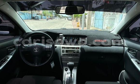 Acheter Occasion Voiture Toyota Corolla Beige à Cotonou, Benin Acheter Occasion Voiture Toyota Corolla Beige à Cotonou, Benin