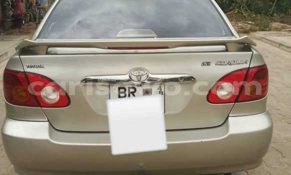 Acheter Occasion Voiture Toyota Corolla Gris à Cotonou, Benin Acheter Occasion Voiture Toyota Corolla Gris à Cotonou, Benin