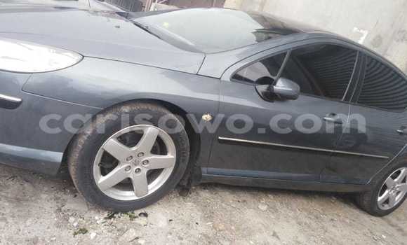 Buy Used Peugeot 407 Black Car in Cotonou in Benign