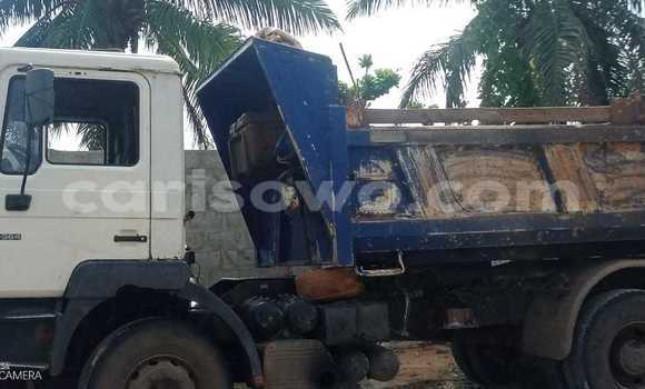 Acheter Occasion Utilitaire Man Silent Blanc à Cotonou, Benin Acheter Occasion Utilitaire Man Silent Blanc à Cotonou, Benin