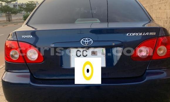 Ra Àlòkù Toyota Corolla Blue Ọkọ̀ in Porto Novo ni Benin