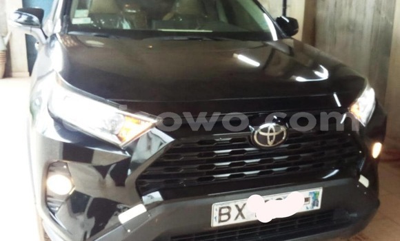 Buy New Toyota RAV4 Black Car in Parakou in Benign