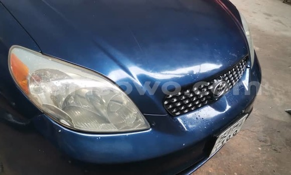 Acheter Occasion Voiture Toyota Matrix Bleu à Cotonou, Benin