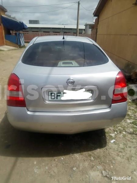 Big with watermark 30623955 578122035882356 6857030771144654848 n