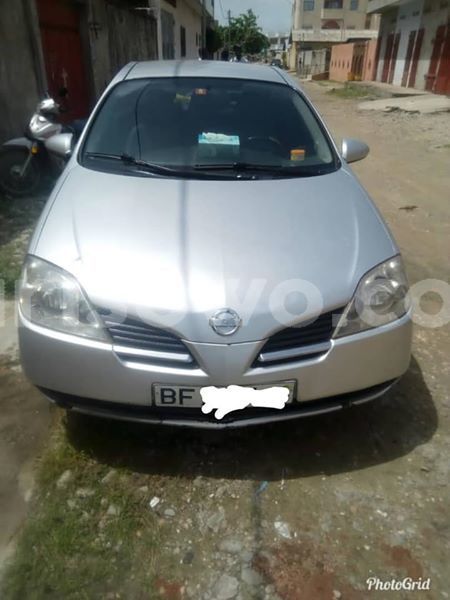 Big with watermark 30629329 194112211393369 244064733525704704 n