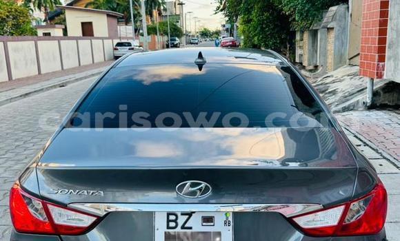Acheter Occasion Voiture Hyundai Sonata Autre à Cotonou, Benin