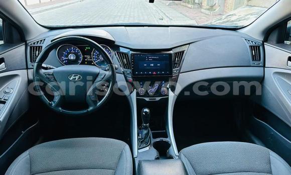 Sayi Na hannu Hyundai Sonata Sauran Mota in Cotonou a Benin Sayi Na hannu Hyundai Sonata Sauran Mota in Cotonou a Benin