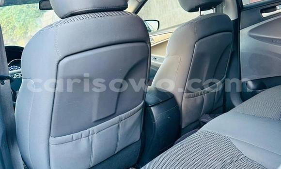 Sayi Na hannu Hyundai Sonata Sauran Mota in Cotonou a Benin Sayi Na hannu Hyundai Sonata Sauran Mota in Cotonou a Benin