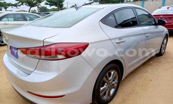 Acheter Occasion Voiture Hyundai Elantra Blanc à Cotonou, Benin Acheter Occasion Voiture Hyundai Elantra Blanc à Cotonou, Benin