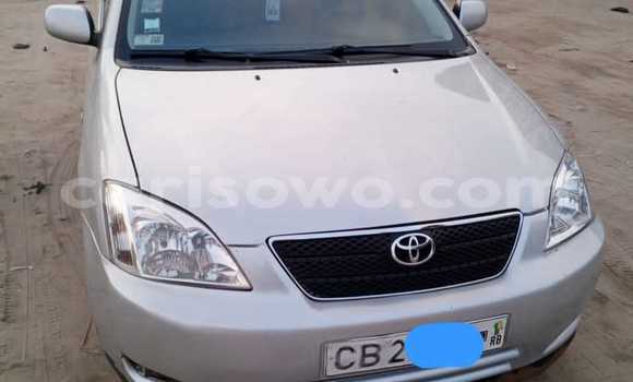 Acheter Occasion Voiture Toyota Corolla Gris à Cotonou, Benin