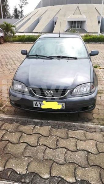 Big with watermark 30623955 578122035882356 6857030771144654848 n